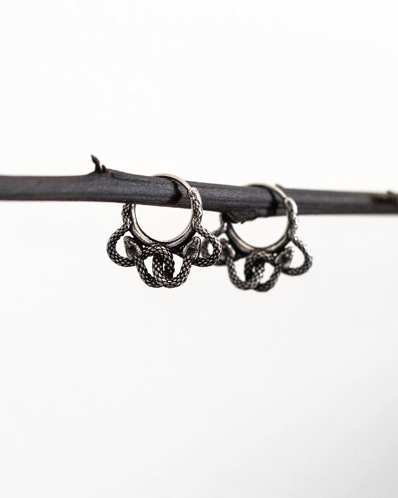 MEDUSA Hoops